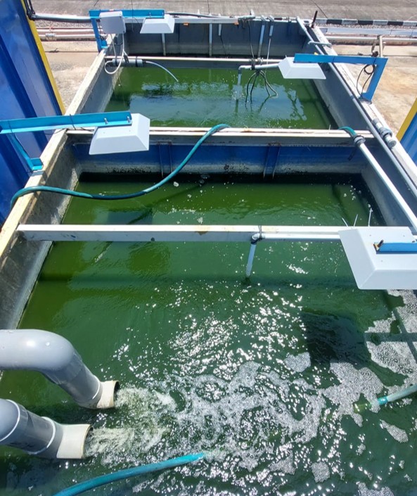 CARBON CAPTURE & UTILIZATION